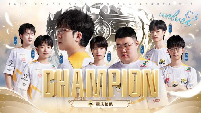 不可忽视的